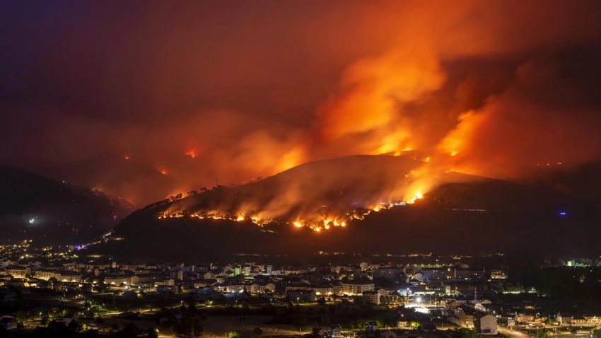 Европа столкнулась с рекордным сезоном лесных пожаров в 2025 году