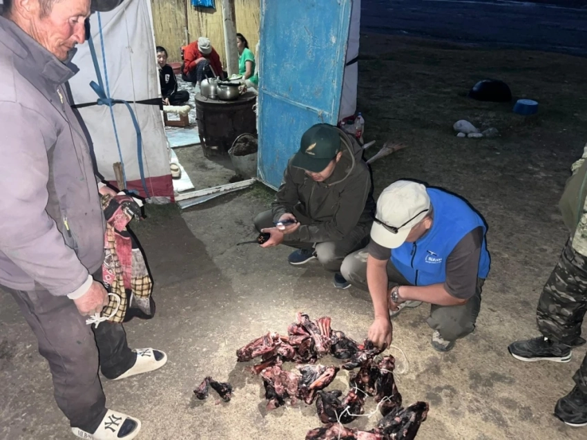 Браконьеров, застреливших горных козлов, оштрафовали на 640 тыс. сомов