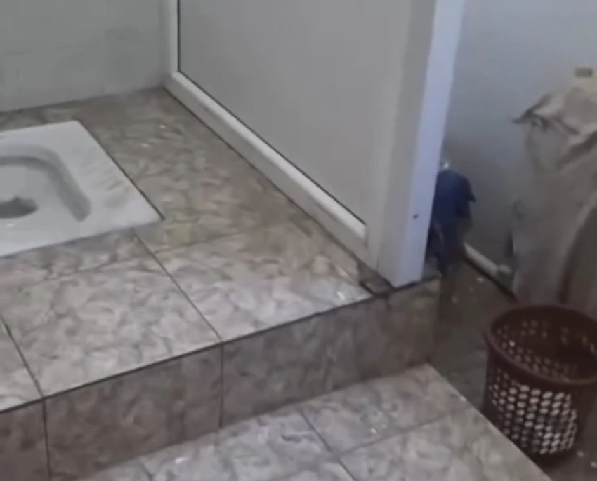 Депутат: Туалеты в школах должны быть лучше, чем в Жогорку Кенеше