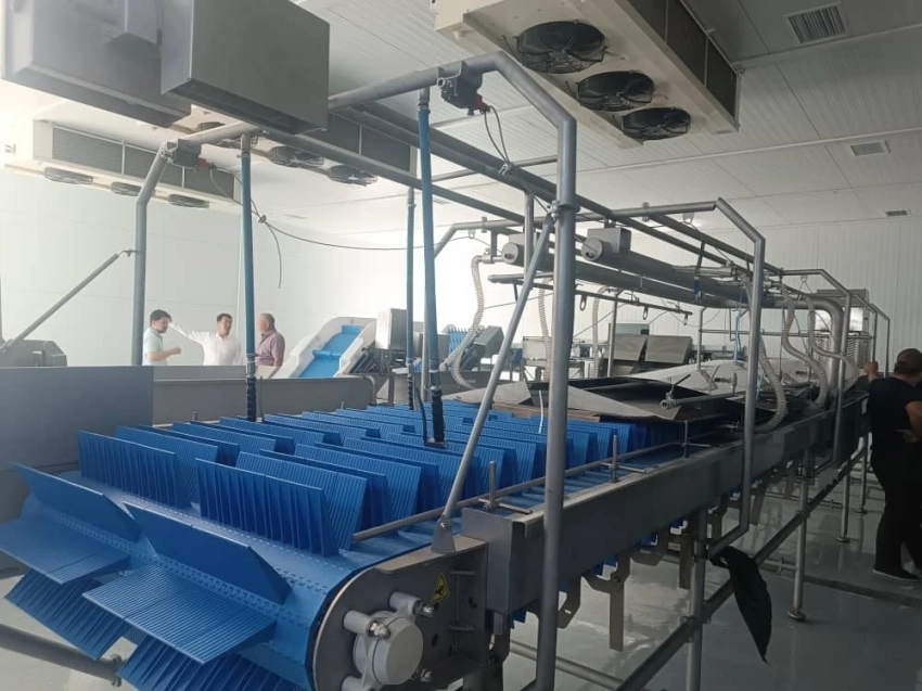 Ко дню независимости в Балыкчы открыт завод по производству форели