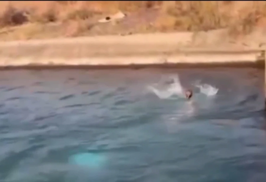 В селе Монолдор чуть не утонули две девочки 4 и 6 лет