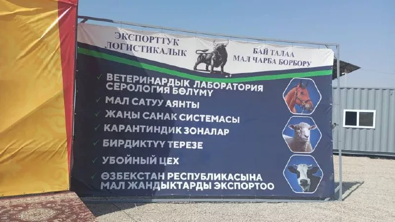 В Ала-Букинском районе завершается строительство экспортно-логистического животноводческого центра «Бай-Талаа»