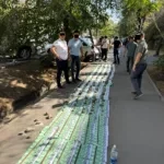 Начальника Чаткальского лесхоза задержали при получении взятки в 5 млн сомов от золотодобывающей компании