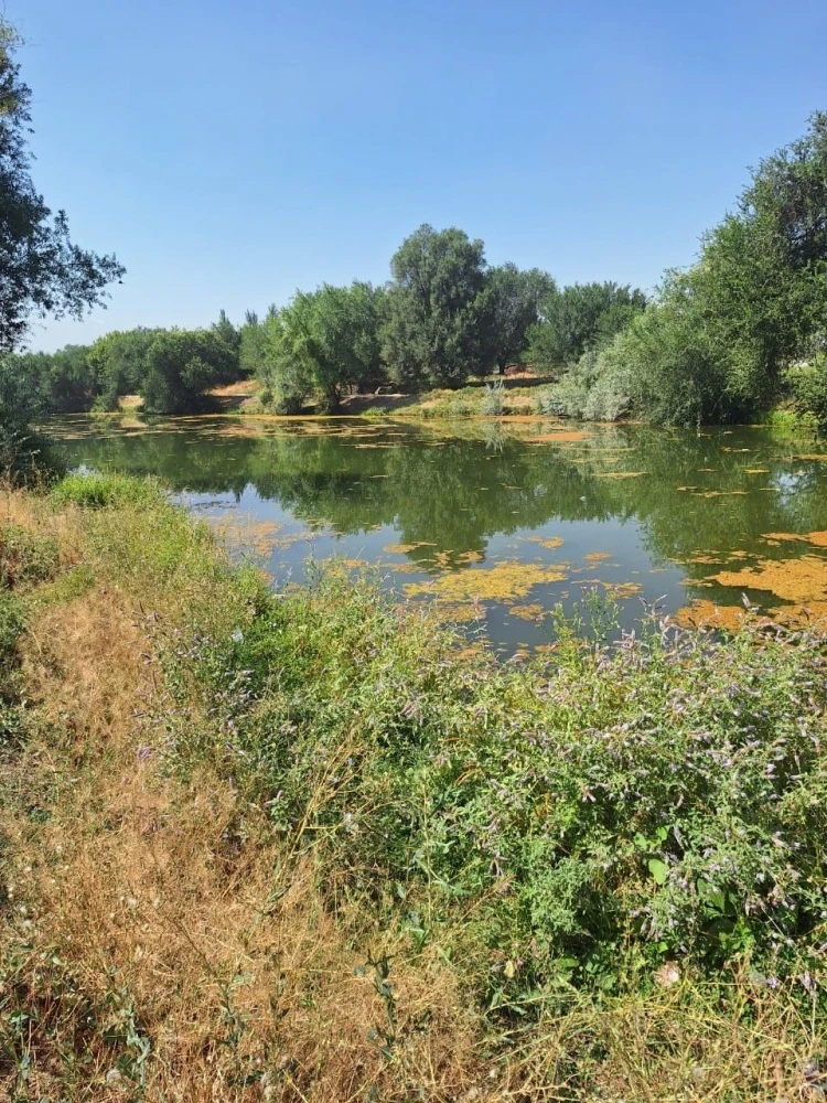 В Чуйской области проведена масштабная инвентаризация рыбных хозяйств