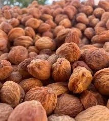 Научный подход помог увеличить урожай урюка в кооперативе "Достук-Кадырбек"