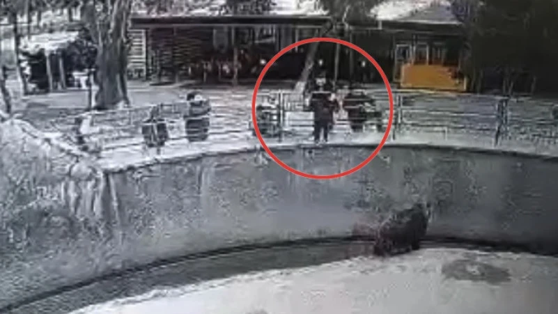 В Ташкенте женщина убила свою дочь, которую три года назад сбросила в вольер медведя