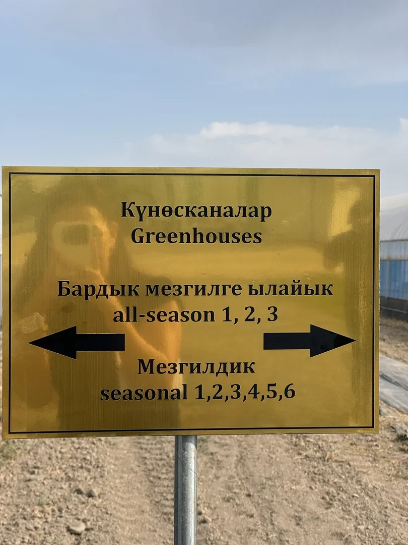 В Кыргызстане открылся центр по производству семян овощных культур