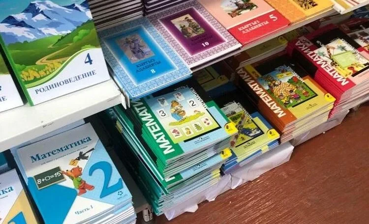 Замглавы Минпросвещения рассказала, когда решится вопрос с нехваткой школьных учебников