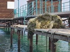 Работы по очистке озера Иссык-Куль продолжаются – Алагозов