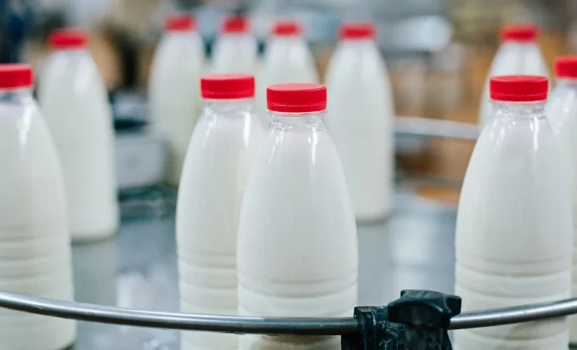 В Кыргызстане вступают в силу новые правила продажи молочной продукции