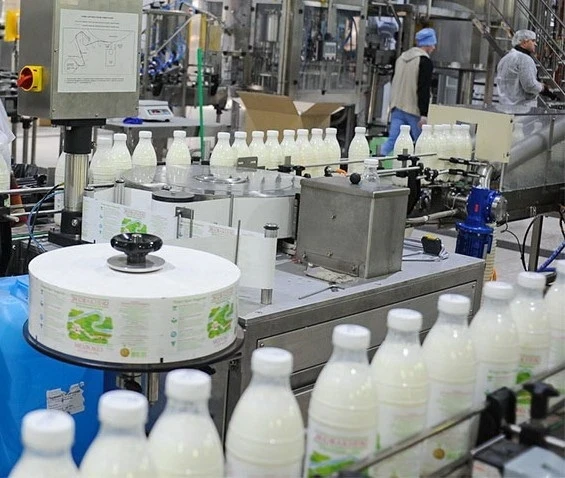 Доля предприятий пищевой промышленности в КР составила 20 %