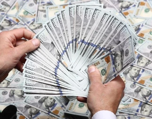 Казахстанец присвоил 2,5 млн долларов у гражданина Кыргызстана