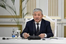Касымалиев: Турция — один из ключевых инвесторов в экономику Кыргызстана