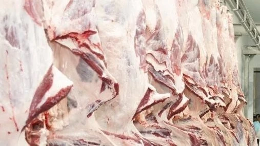 Минсельхоз Казахстана прокомментировал рост цен на говядину на внутреннем рынке