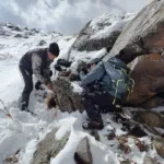 В заповеднике «Шамшы-Туюк» установлены фотоловушки для изучения снежного барса