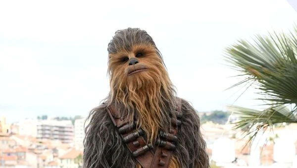 Морские биологи нашли новый вид коралла и назвали его в честь Чубакки. И вот почему