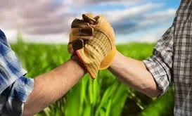 Минсельхоз призвал агробизнесменов объединяться в кооперативы для получения льготных кредитов