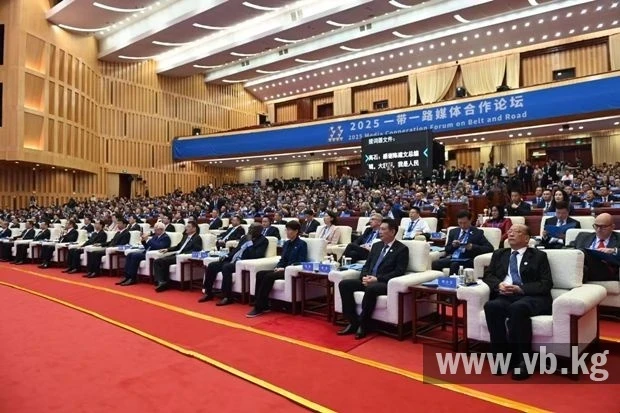 СМИ 87 стран продолжают рука об руку строить "Один пояс - один путь"