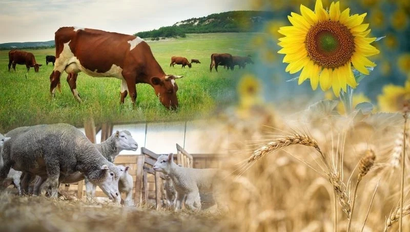 Нацстатком сообщает о подготовке к Сельскохозяйственной переписи 2025 года