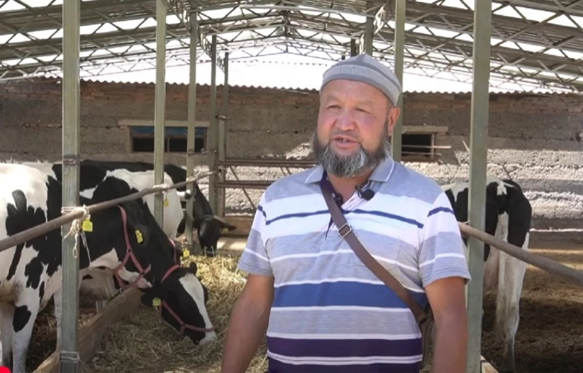 «От количества к качеству»: успех фермера из Таласа