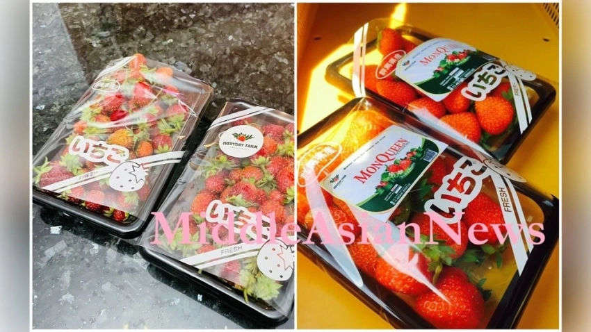 Японские сорта клубники выращиваются с учетом вкусовых предпочтений жителей Монголии