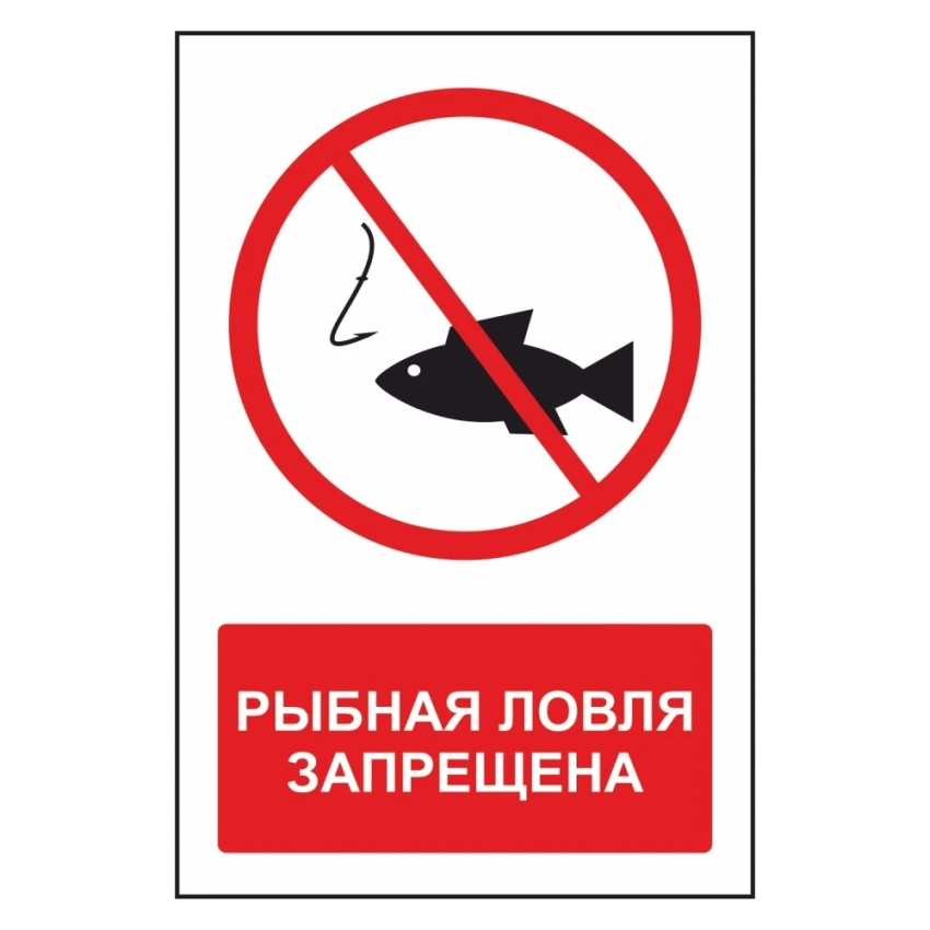 Трое граждан Китая задержаны за незаконный лов рыбы в Ала-Букинском районе