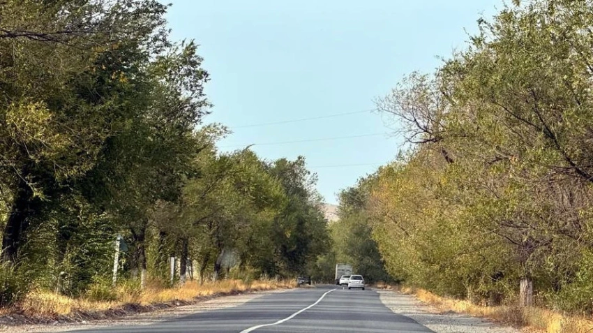 Минувшее лето в Узбекистане было одним из самых тёплых в истории, - Узгидромет