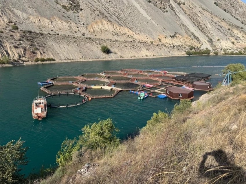 В Джалал-Абадской области проходил мониторинг рыбных хозяйств