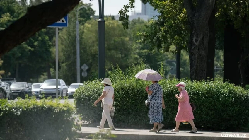 Облачно, днем до +30-35°С. Прогноз погоды в Узбекистане на 7 сентября