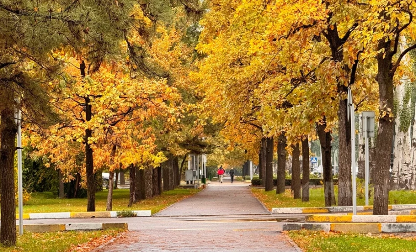 Осень приходит в Бишкек – прогноз погоды