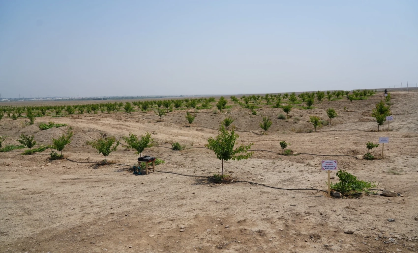 Минсельхоз КР окажет поддержку фермерам в освоении малоплодородных земель