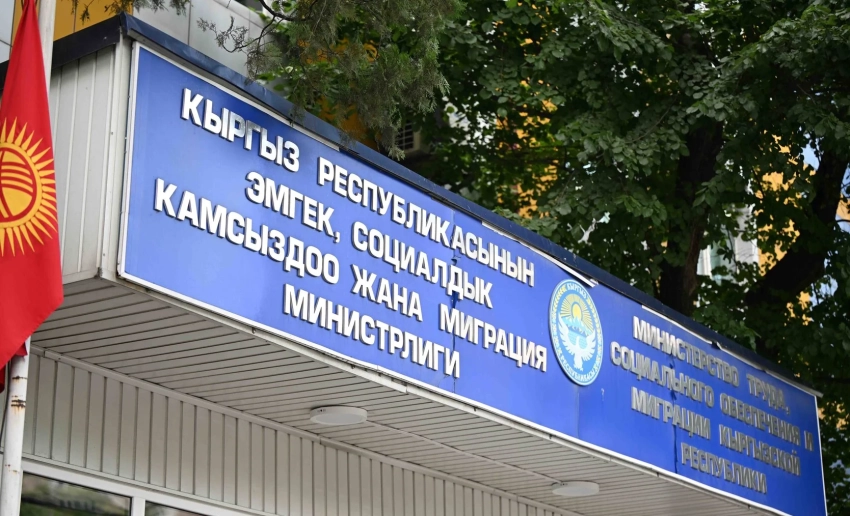 Из России в Кыргызстан репатриированы 5 младенцев