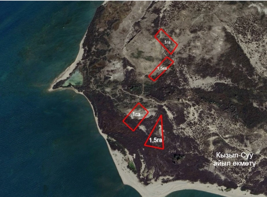 Несколько участков на берегу Иссык-Куля стоимостью в 12,7 млн передали государству