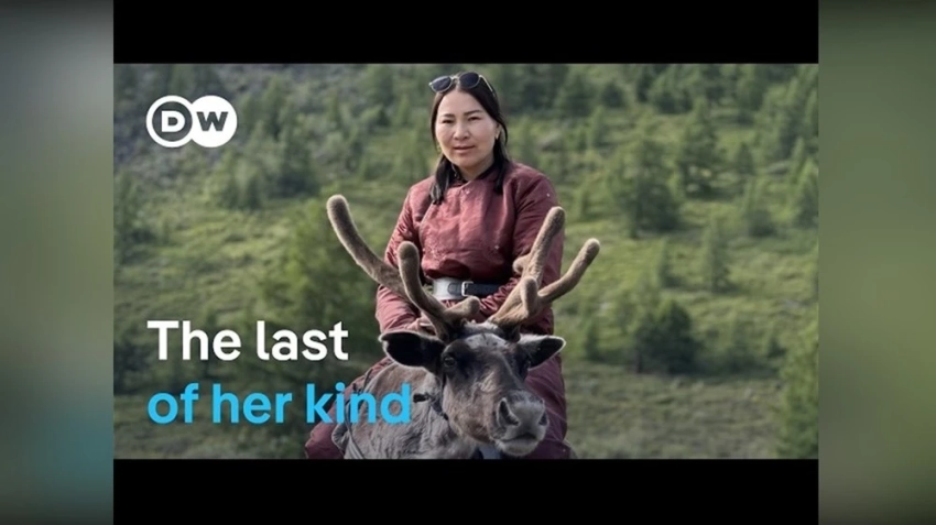 Сопровождение врача-кочевника в Монголии | Документальный фильм DW. Видео