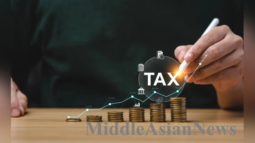 Монголия изучает налоговую реформу и координацию доходов бюджета