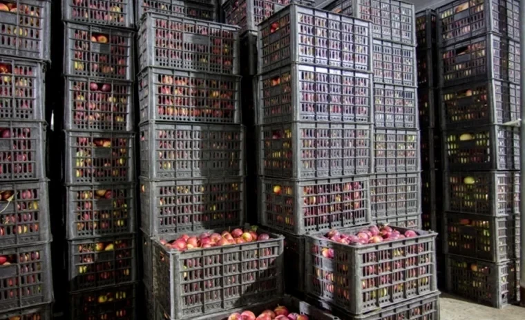 В Ала-Буке строят новый склад на 500 тонн для хранения сельхозпродукции