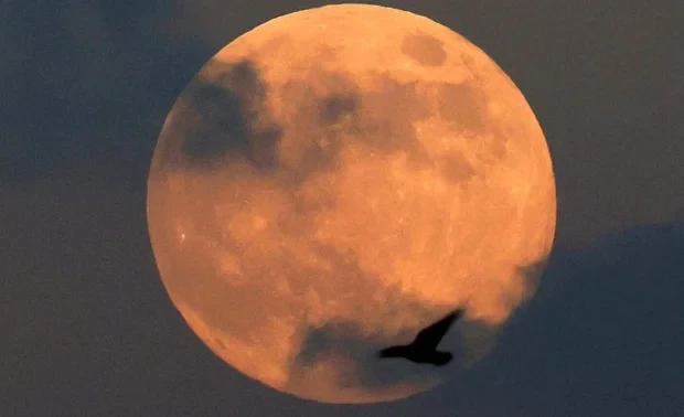 Жители Земли смогут увидеть суперлуние в октябре