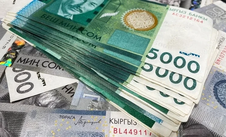 Аграрии получили льготные кредиты на сумму свыше 79 млн сомов