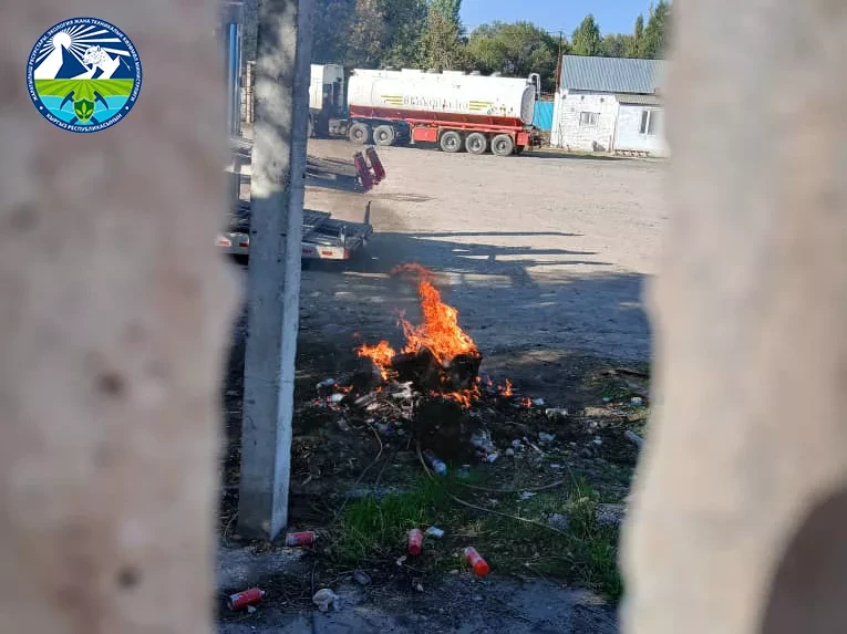Минприроды Кыргызстана напомнило о недопустимости сжигания листьев и бытовых отходов