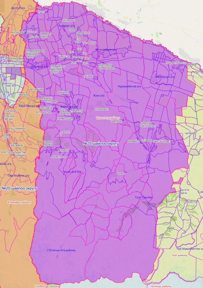 Избирательный округ №25 на досрочных выборах в Жогорку Кенеш. Список выдвиженцев