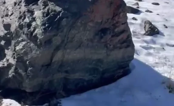 Редкие животные попали в объективы фотоловушек в районе Кок-Ойрока и озера Челек