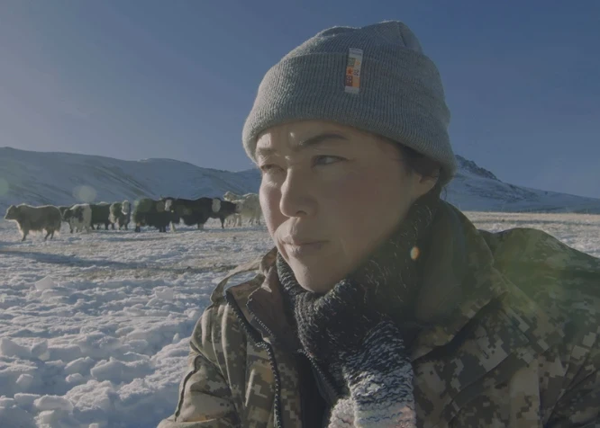 Докфильм о женщине-фермере из Кыргызстана получил специальную премию ФАО