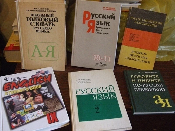 В РФ упрощены правила приема в школы для части иностранных детей