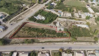 В Бакай-Атинском районе земли с яблоневыми садами вернули государству