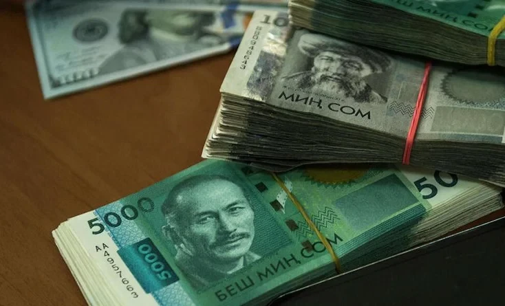 Соцфонд отчитался: доход ГНПФ вырос до 5 млрд сомов