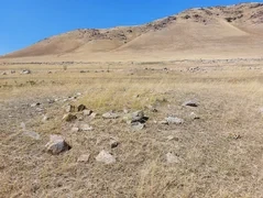 Археологи Большого Алтая впервые проведут раскопки в Кыргызстане