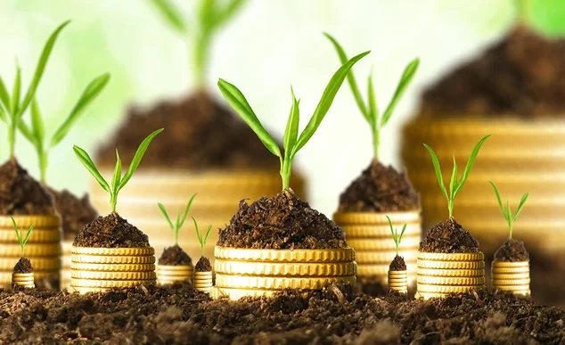 В аграрном секторе профинансированы объединенные производители на сумму 79,2 млн сомов