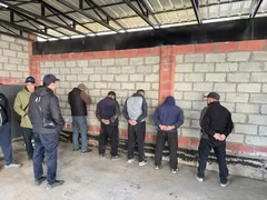 Задержана преступная группа, организовавшая контрабанду скота в Таджикистан