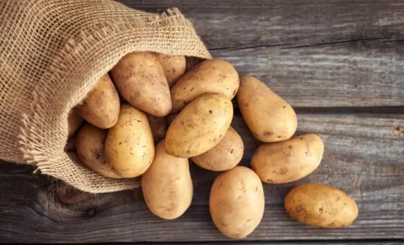 Минсельхоз планирует временно ограничить импорт картофеля