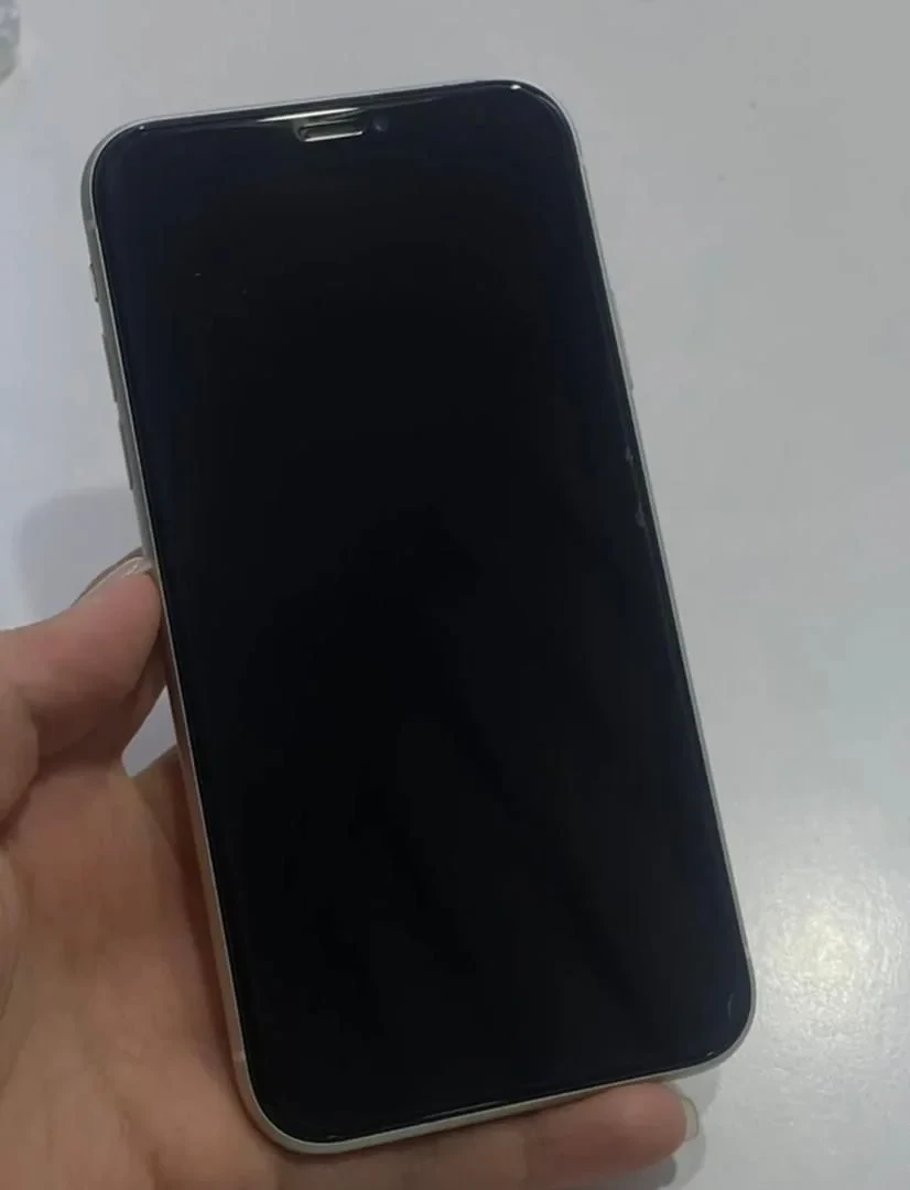 Задержаны 4 подростка за ограбление в центре Бишкека